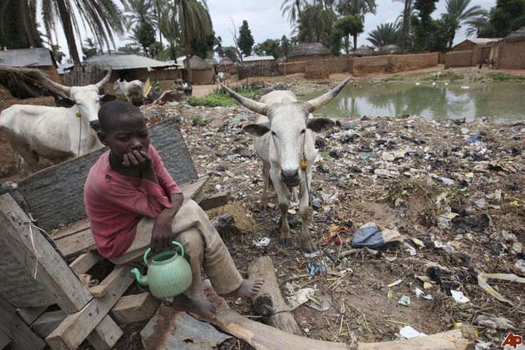 ___3957004___https:______static.pulse.com.gh___webservice___escenic___binary___3957004___2015___7___9___18___nigeria-cholera-2010-9-10-11-0-15