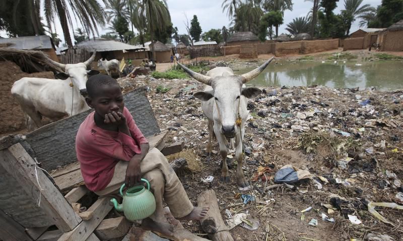 ___3957004___https:______static.pulse.com.gh___webservice___escenic___binary___3957004___2015___7___9___18___nigeria-cholera-2010-9-10-11-0-15
