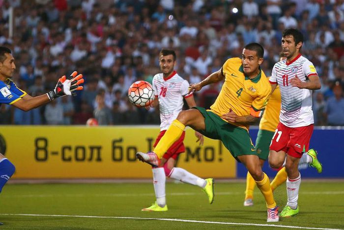 ___4168423___https:______static.pulse.com.gh___webservice___escenic___binary___4168423___2015___9___15___13___timcahill-cropped_bszv02v5cv2u1ex341ebvx1px