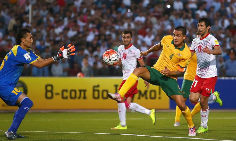 ___4168423___https:______static.pulse.com.gh___webservice___escenic___binary___4168423___2015___9___15___13___timcahill-cropped_bszv02v5cv2u1ex341ebvx1px
