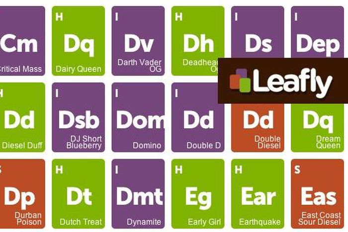 ___3851280___https:______static.pulse.com.gh___webservice___escenic___binary___3851280___2015___6___10___18___leafly-strains