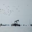 Maurel & Prom's investment will give the company a 40 percent stake in the exploitation of the oil field in the region of Maracaibo Lake, oil minister Manuel Quevedo said