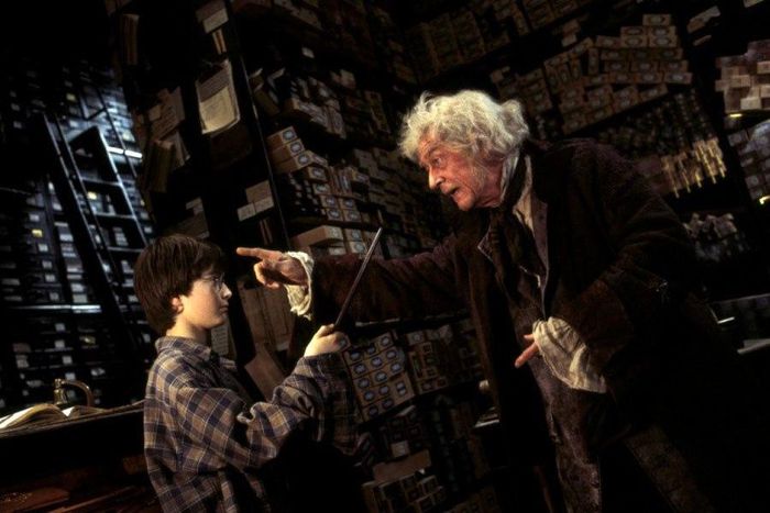 John Hurt as Garrick Ollivander in Harry Potter