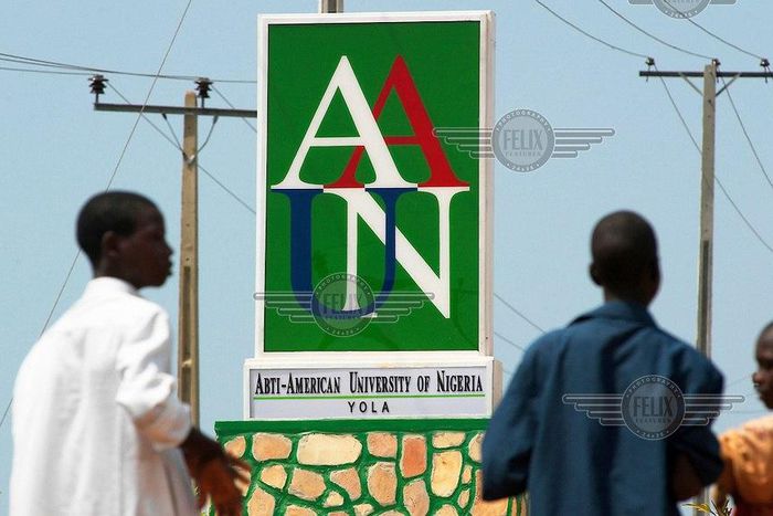 American University of Nigeria