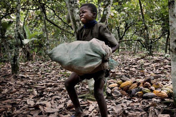 ___3771294___https:______static.pulse.com.gh___webservice___escenic___binary___3771294___2015___5___18___15___495351b61f2f5d5fb01719e794fad4bf