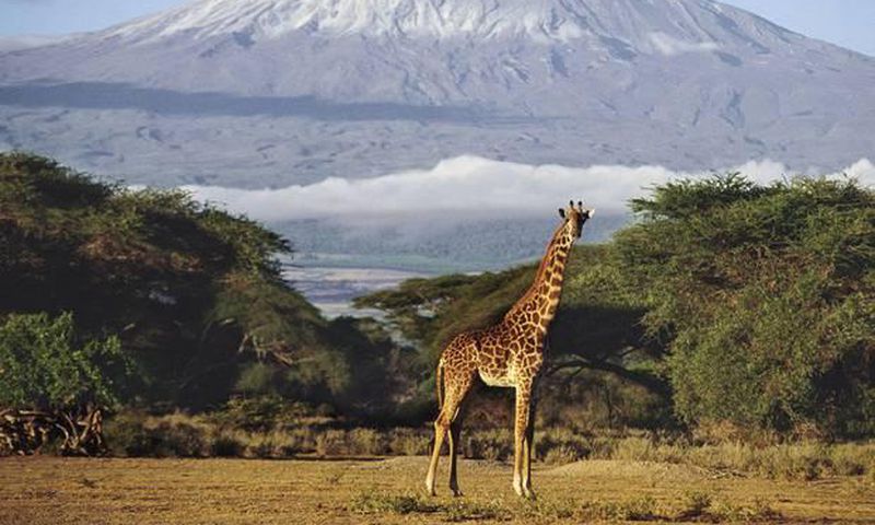 ___4171492___https:______static.pulse.com.gh___webservice___escenic___binary___4171492___2015___9___15___21___tanzania