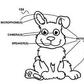 Partial schematics filed with the patent