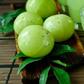 ___3947220___https:______static.pulse.com.gh___webservice___escenic___binary___3947220___2015___7___7___13___Lettuce-And-Indian-Gooseberry-Juice