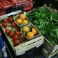The landmark health study in The Lancet calls on people to double their consumption of vegetables, fruits and nuts