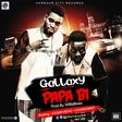 Gallaxy - Papa Bi cover art