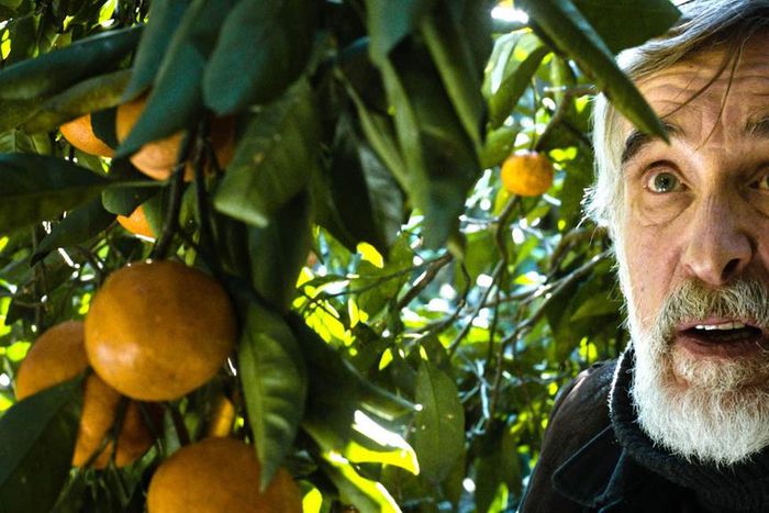 Tangerine movie trailer