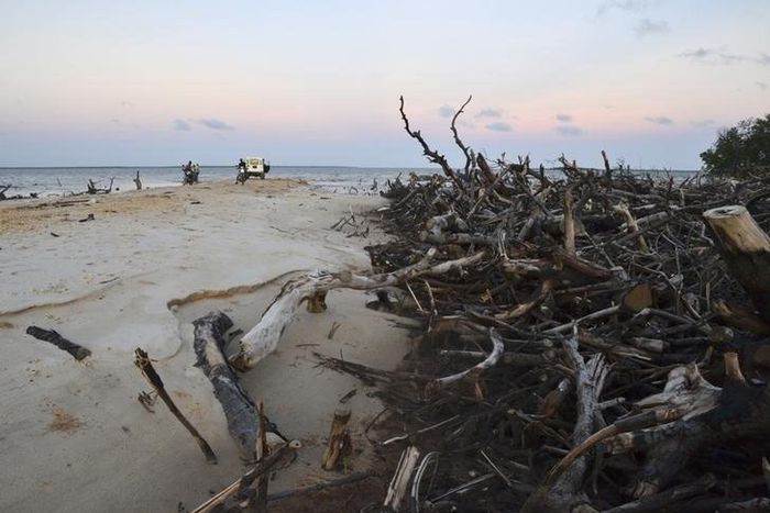 Mangrove covers a section of the Indian Ocean beach strip in Lamu Island, where the construction of a new port is due to begin, along the Kenyan coast April 17, 2013. KENYA-PORT/REUTERS/Anjali Nayar