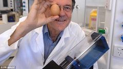 An Australian scientist has been honoured with an Ig Nobel prize for creating a way to unboil an egg.