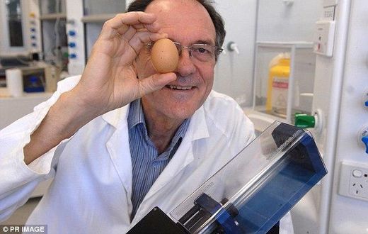 An Australian scientist has been honoured with an Ig Nobel prize for creating a way to unboil an egg.