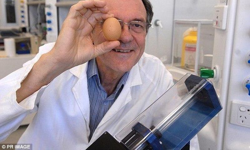An Australian scientist has been honoured with an Ig Nobel prize for creating a way to unboil an egg.