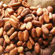 Government has agreed on an increase in the producer price of cocoa to the tune of 21.74% for the 2015/2016 crop season effective October 2, 2015.