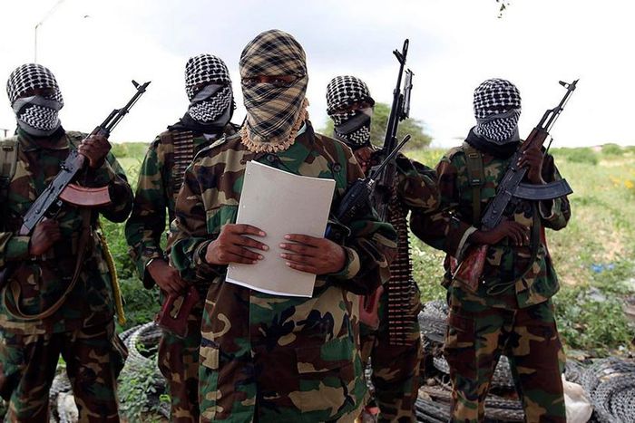 Al-Shabab militants
