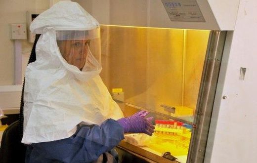 Two new Ebola cases in Guinea, WHO says