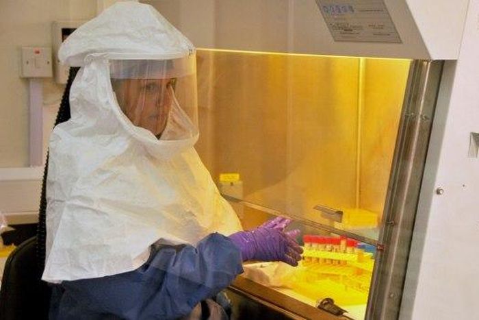 Two new Ebola cases in Guinea, WHO says