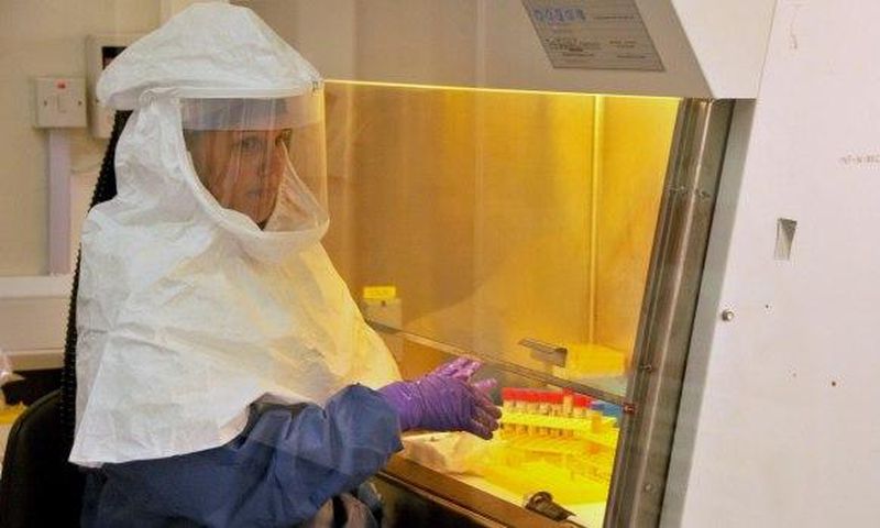 Two new Ebola cases in Guinea, WHO says