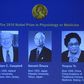 Three scientists from Ireland, Japan and China won the Nobel Prize in medicine