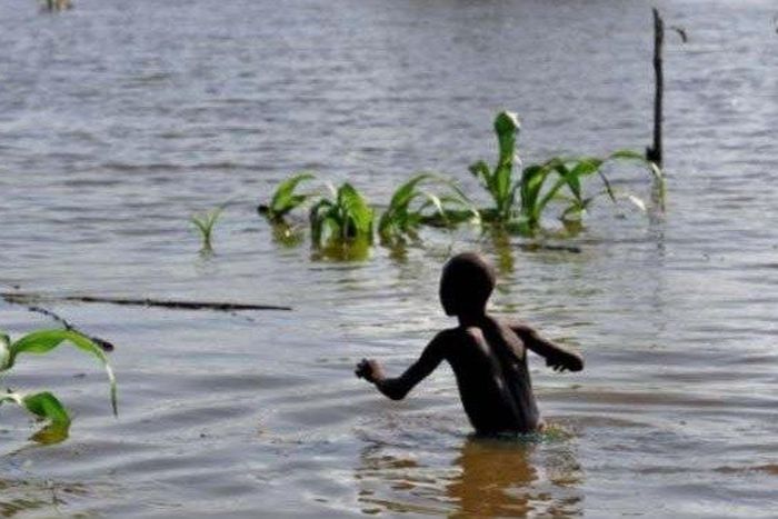 Gov. Aminu Tambuwal of Sokoto State on Saturday said that the state government would engage in massive dry season farming to tackle food shortage in the state.