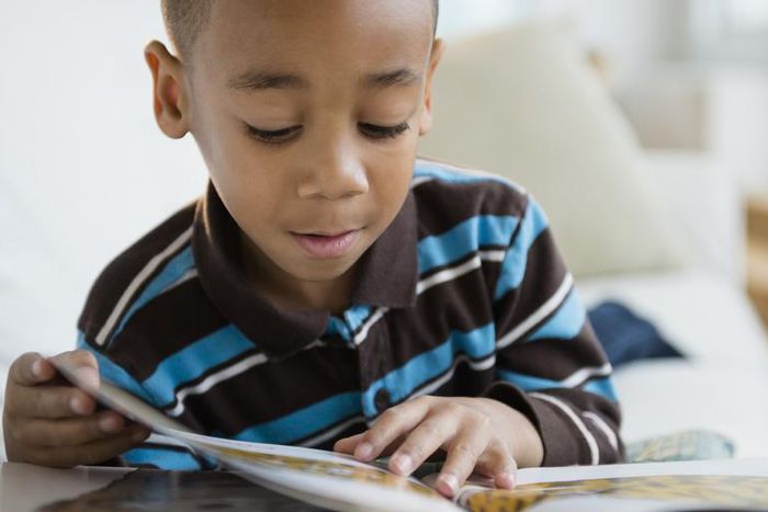 A young child reading a book