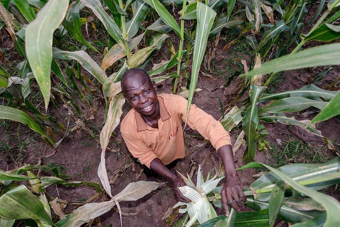 Private sector lends momentum to Ghana’s Planting for Food and Jobs Program