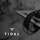 Tidal logo