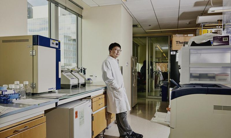 How to Stop Rogue Gene-Editing of Human Embryos? Scientists Differ.