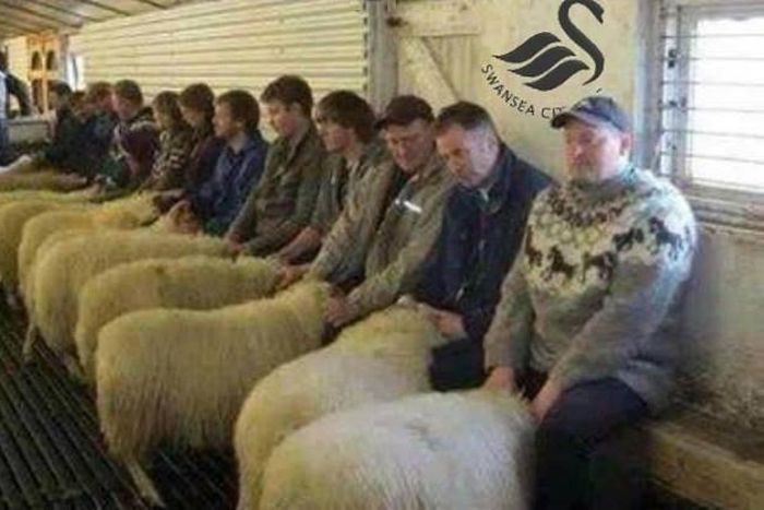 ___4022228___https:______static.pulse.com.gh___webservice___escenic___binary___4022228___2015___7___29___10___aqegWC9