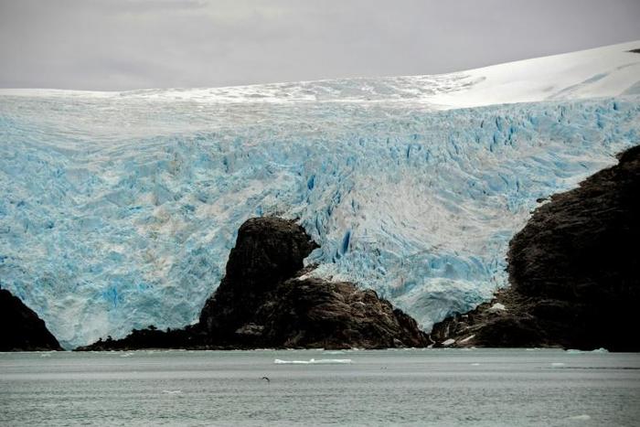 In Seno Ballena, a fjord located in the interior of the Strait of Magellan in the Chilean Patagonia, the waters are shedding light on the future of climate change and its effects on marine organisms