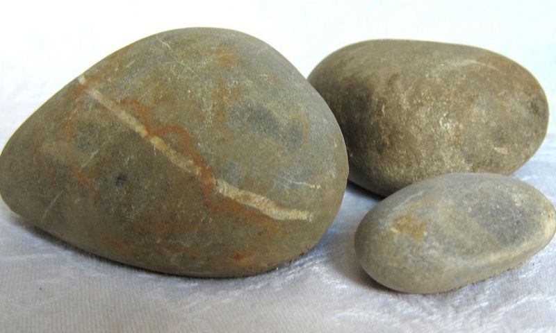 ___3616158___https:______static.pulse.com.gh___webservice___escenic___binary___3616158___2015___3___30___21___stone+tutorial+piggy+015_1