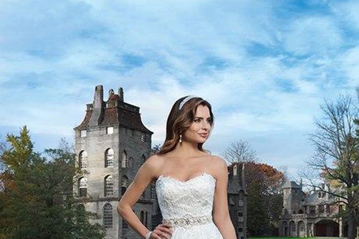 Justin Alexander Spring 2015