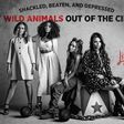 Little Mix joins PETA2 to call for the release of animals from circuses