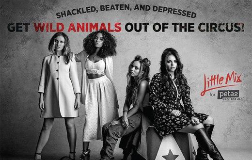 Little Mix joins PETA2 to call for the release of animals from circuses