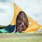 On the up: The ANC hoisted a giant New Year's banner bearing the face of Cyril Ramaphosa, credited with reviving party fortunes after the scandal-hit era of Jacob Zuma