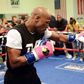 Boxer 'knocked out' in sparring session