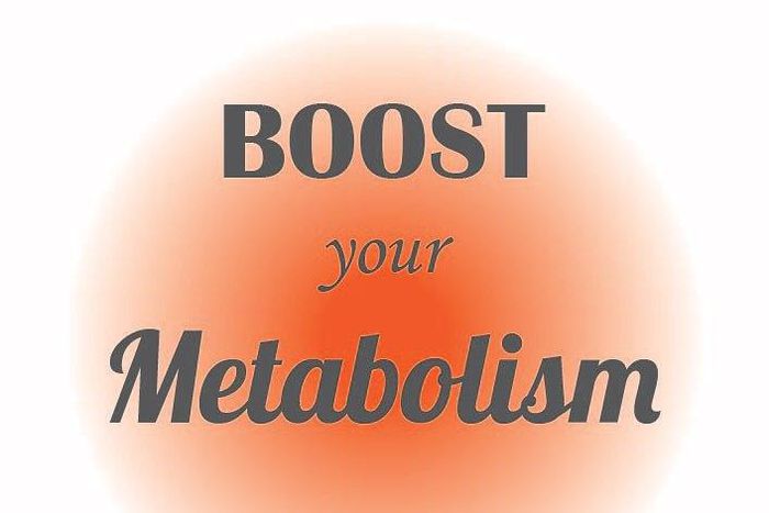 metabolism