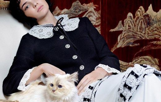 Kendall Jenner and Choupette Lagerfeld for Vogue Magazine September 2015 issue