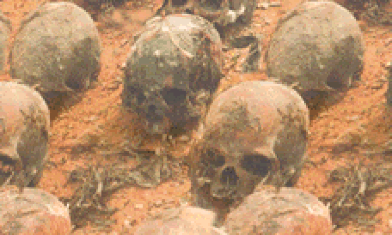 Okija shrine skulls