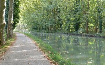 The present revels in what was once a sleepy backwater