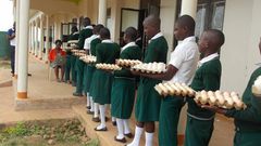 Students of Suubi Secondary and Vocational College in Lubanda, Lwengo District of Uganda, contribute to the payment of their own school fees by bringing five eggs a day to school