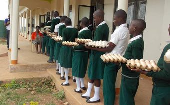 Students of Suubi Secondary and Vocational College in Lubanda, Lwengo District of Uganda, contribute to the payment of their own school fees by bringing five eggs a day to school