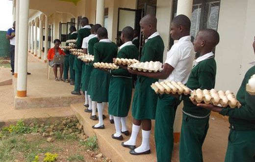 Students of Suubi Secondary and Vocational College in Lubanda, Lwengo District of Uganda, contribute to the payment of their own school fees by bringing five eggs a day to school