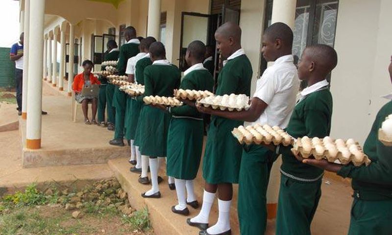 Students of Suubi Secondary and Vocational College in Lubanda, Lwengo District of Uganda, contribute to the payment of their own school fees by bringing five eggs a day to school