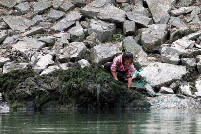 Drought puts N.Korean children's lives at risk - UNICEF