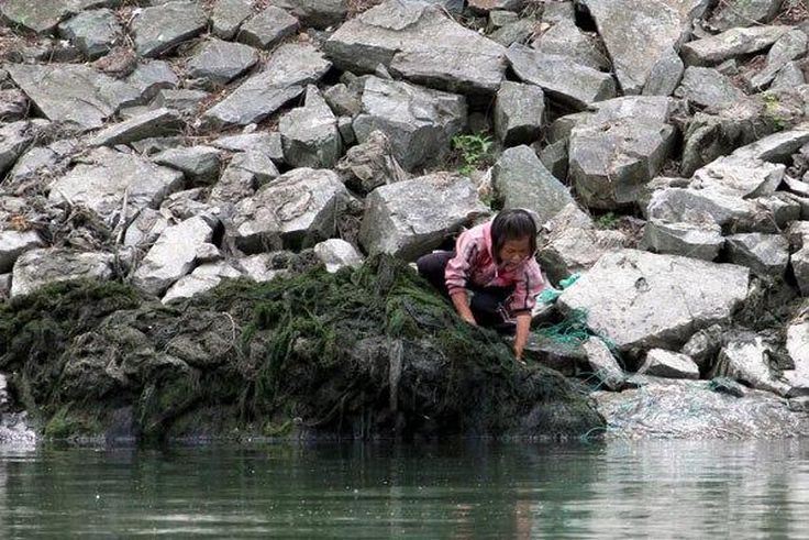 Drought puts N.Korean children's lives at risk - UNICEF