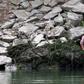 Drought puts N.Korean children's lives at risk - UNICEF
