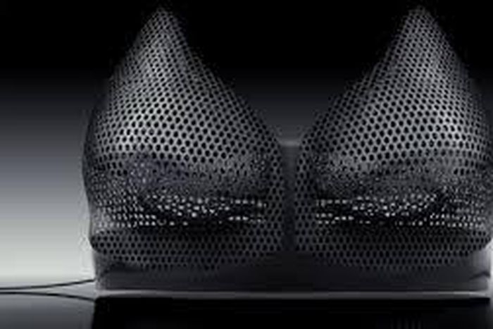 Bulletproof bra saves woman during hunt